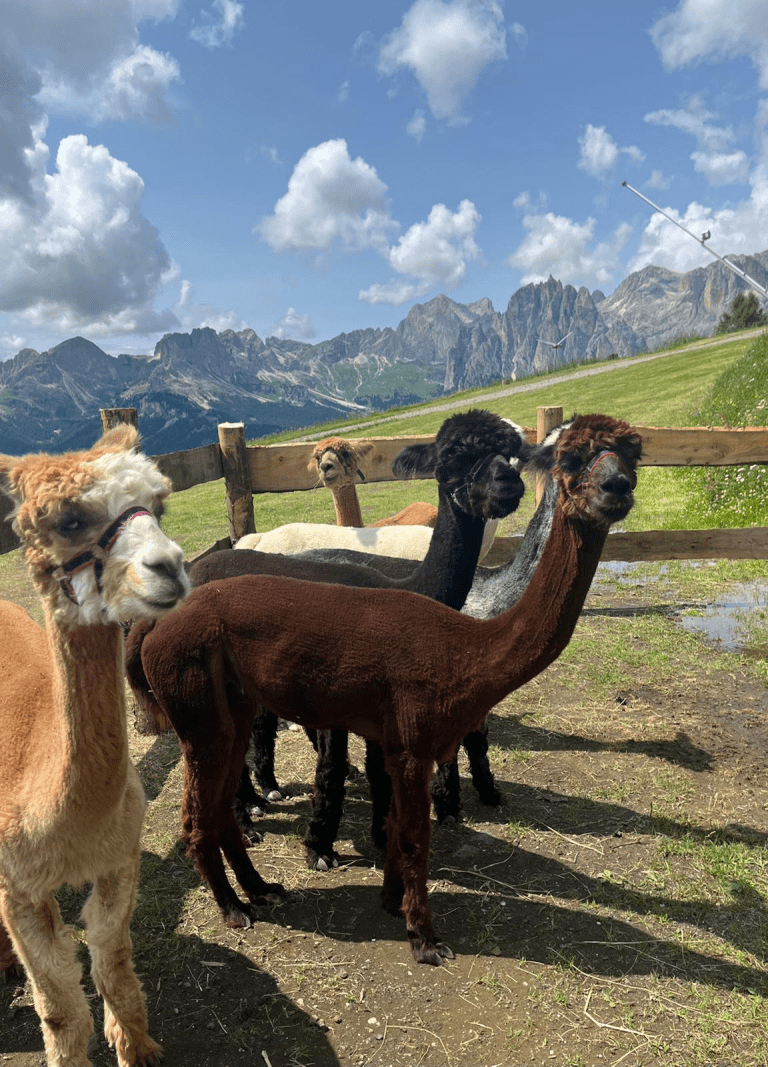 North Italy from Liron